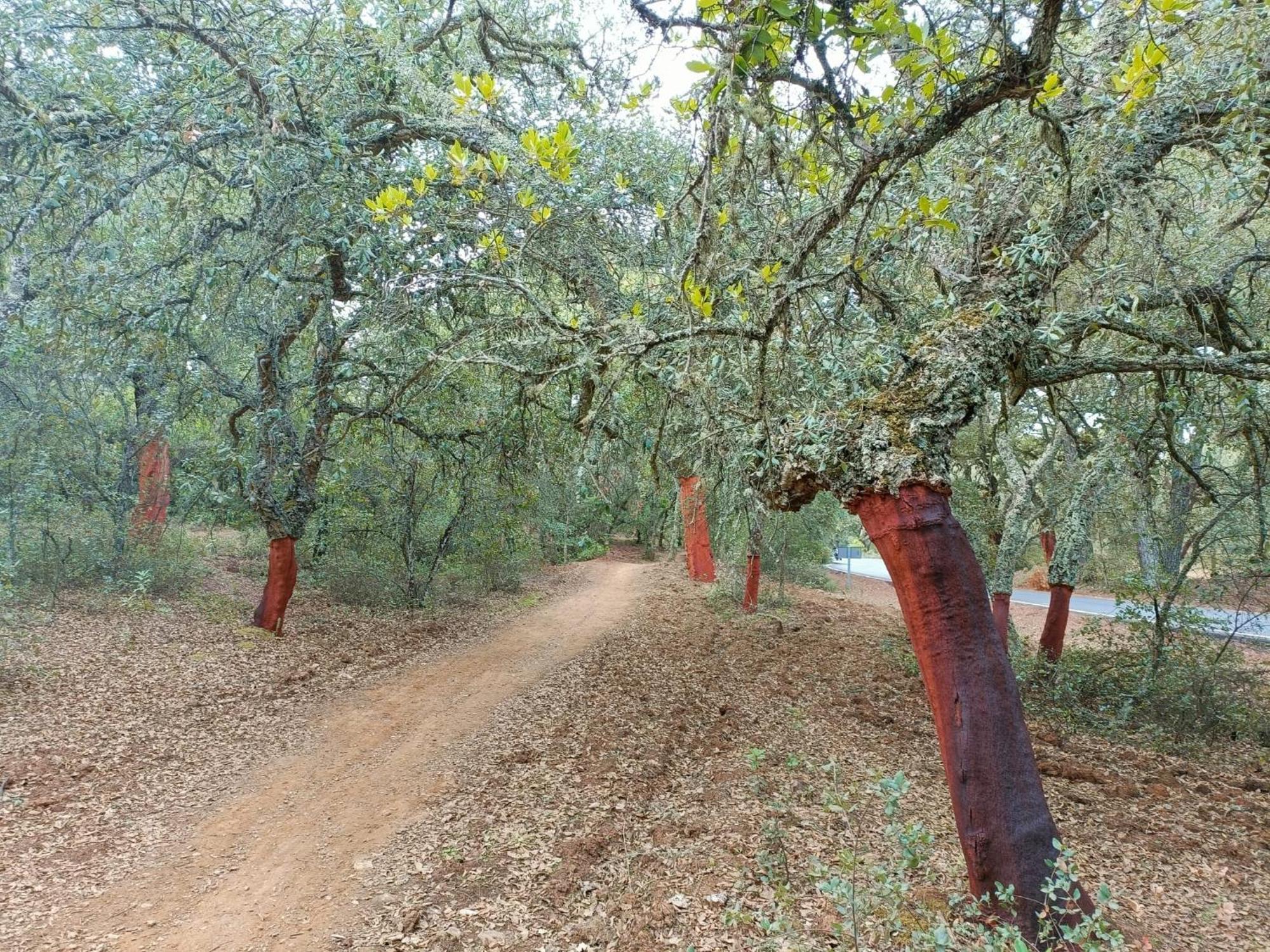 Villa Sombrerocordobe Cordova Esterno foto
